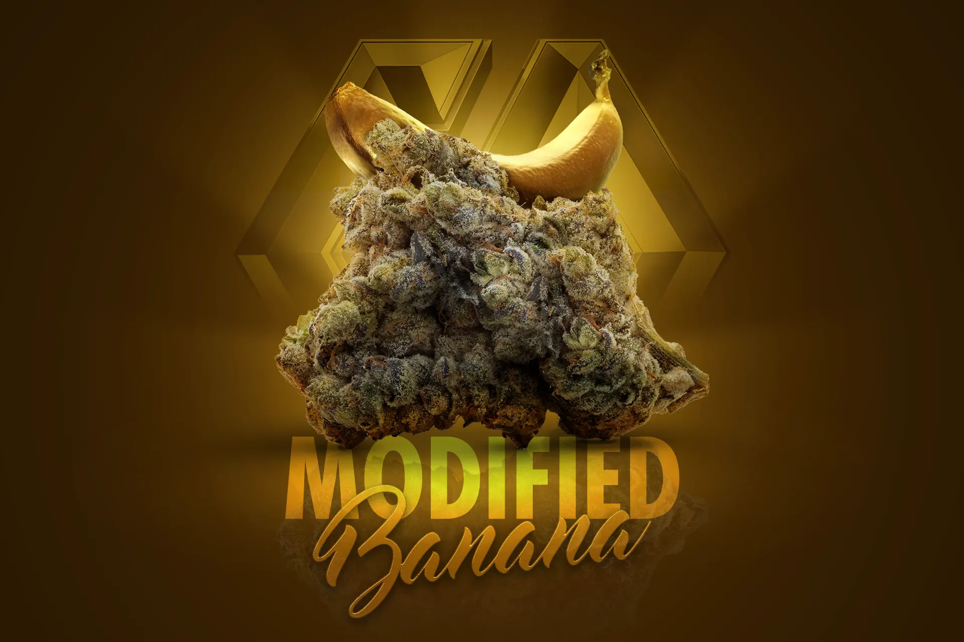 Shango’s Modified Banana Helps Relieve Customers Chronic Pain